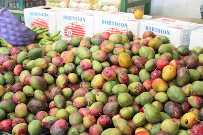 61191137 1553936088073455 3803225533819387904 n