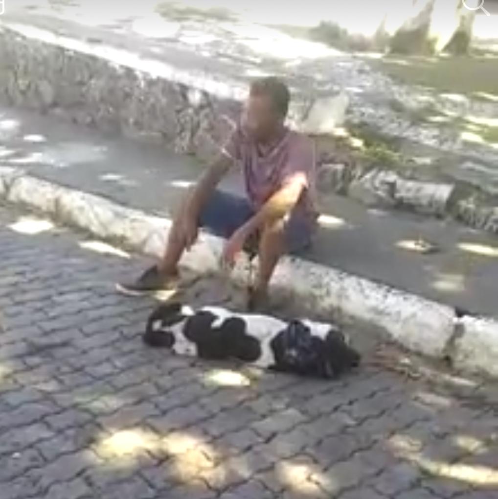 São Francisco do Conde: Homem chora com o sofrimento do seu cachorro após levar facadas de mototaxista. Confira! 2 WhatsApp Image 2019 06 10 at 12.12.15