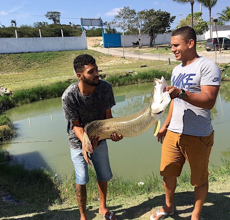 Gastronomia: Pexão tem boa recomendação de Junior Robocop. Confira! 8 WhatsApp Image 2019 07 15 at 21.40.18 1