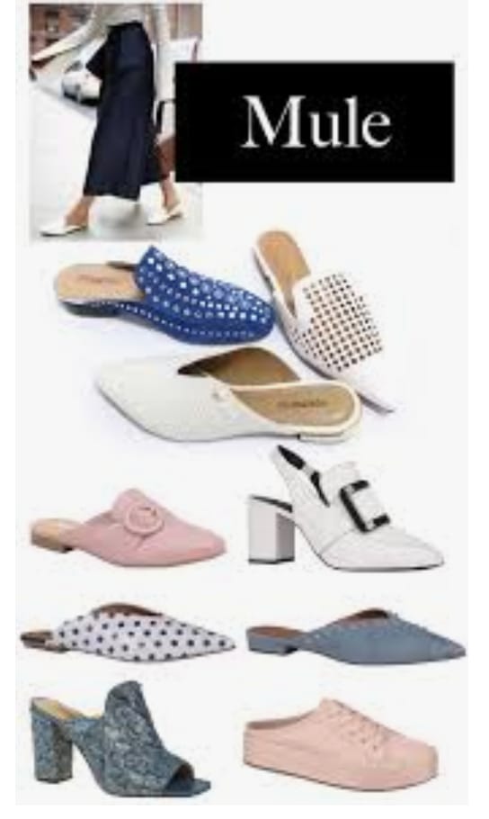 WhatsApp Image 2019 08 04 at 23.32.35