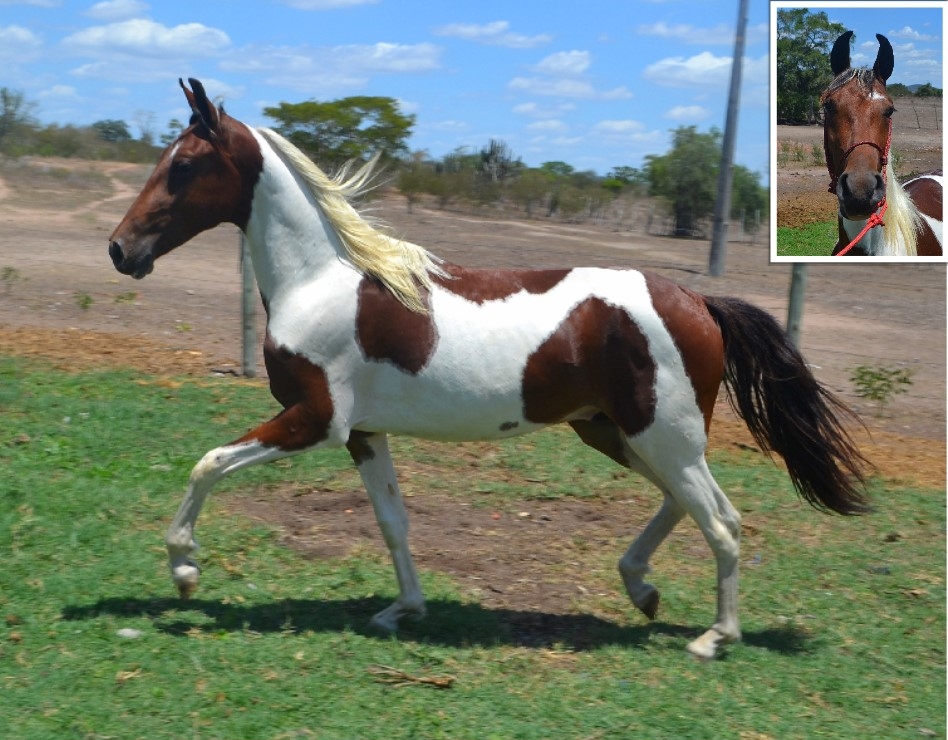 WhatsApp Image 2019 10 29 at 12.34.18 1