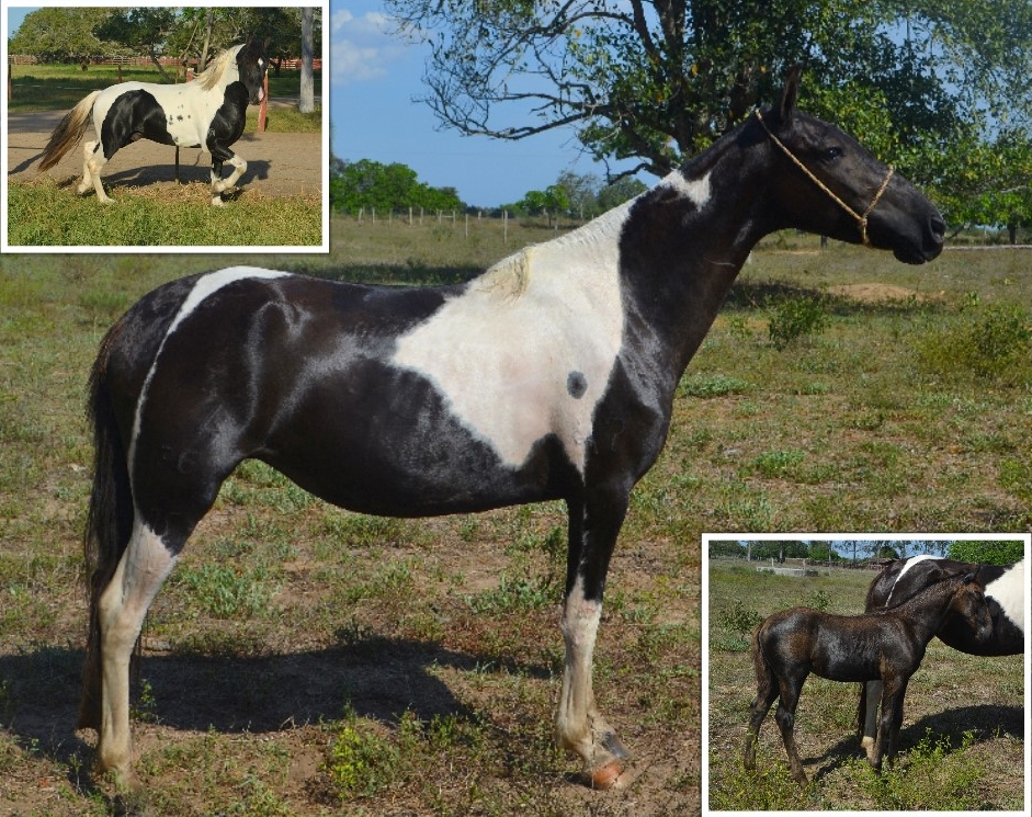 WhatsApp Image 2019 10 29 at 12.34.18