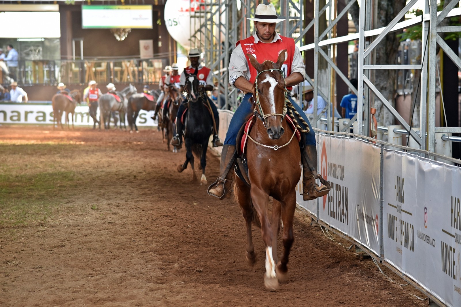 Mangalarga Marchador: Como funciona a competição que escolhe os melhores cavalos do país. Confira! 1 Mangalarga Marchador: Como funciona a competição que escolhe os melhores cavalos do país. Confira!