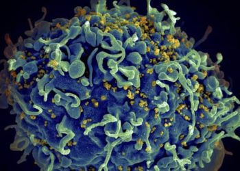 Cientistas anunciam 7º paciente curado do HIV