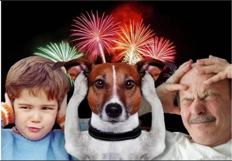 Convenção de Tonha Magalhães em Candeias causa desconforto a crianças, idosos, autistas e animais por excesso de fogos de artifício