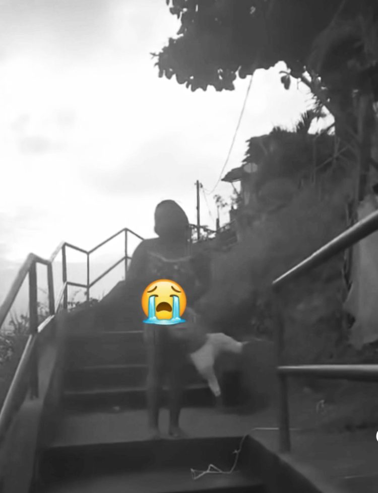 Candeias: Policiais da 10ª CIPM estão a procura de mulher que ameaçou jogar bebê de 8 meses de uma certa altura, no bairro Sarandi