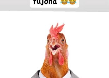 São Sebastião do Passé: Após atacar colega em sessão, vereador Soldado Nailson é chamado de “galinha fujona” em direito de resposta do ver. Bateria