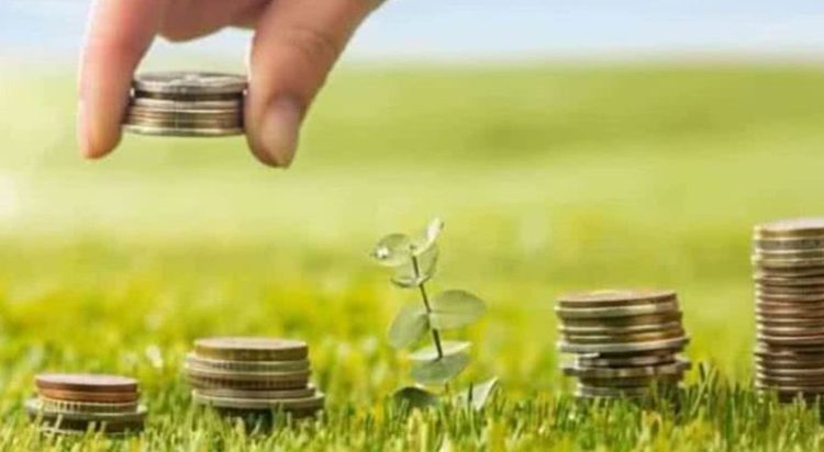 Broto Agro Show: Feira virtual acontece até 3 de dezembro com promoções para produtores do Brasil 1 Broto Agro Show: Feira virtual acontece até 3 de dezembro com promoções para produtores do Brasil