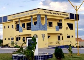 Prefeitura de Barrocas decreta multa para quem abandonar animais na rua 5 Prefeitura de Barrocas decreta multa para quem abandonar animais na rua