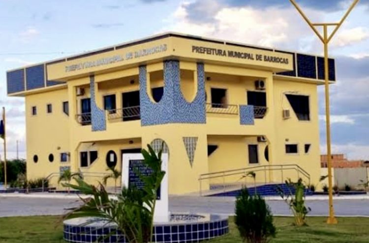 Prefeitura de Barrocas decreta multa para quem abandonar animais na rua 1 Prefeitura de Barrocas decreta multa para quem abandonar animais na rua