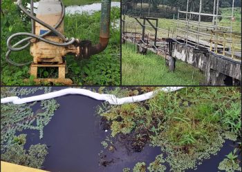 Crime ambiental na barragem de São Paulo com peixes mortos e substância oleosa levantam suspeitas contra a Acelen em São Francisco do Conde
