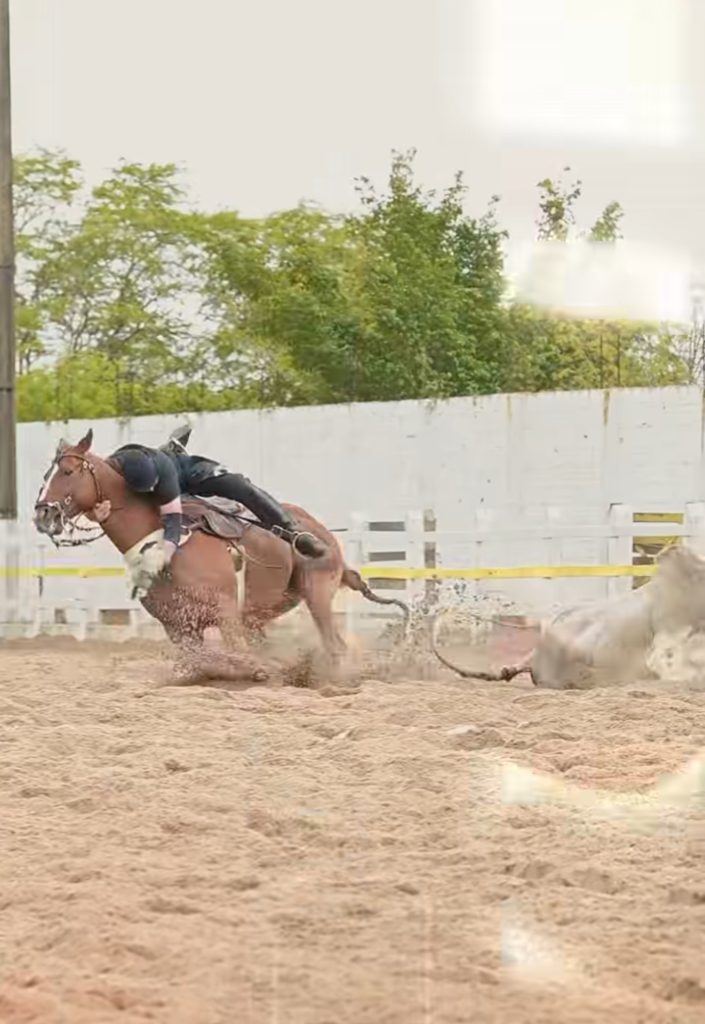 screenshot 20251103 205542 instagram